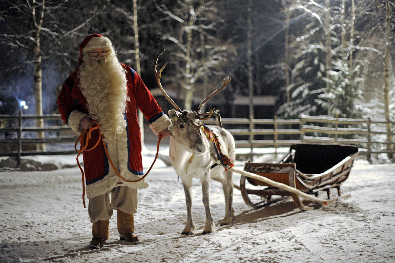 Rudolph WAS lit — and Santa was taking magic mushrooms!