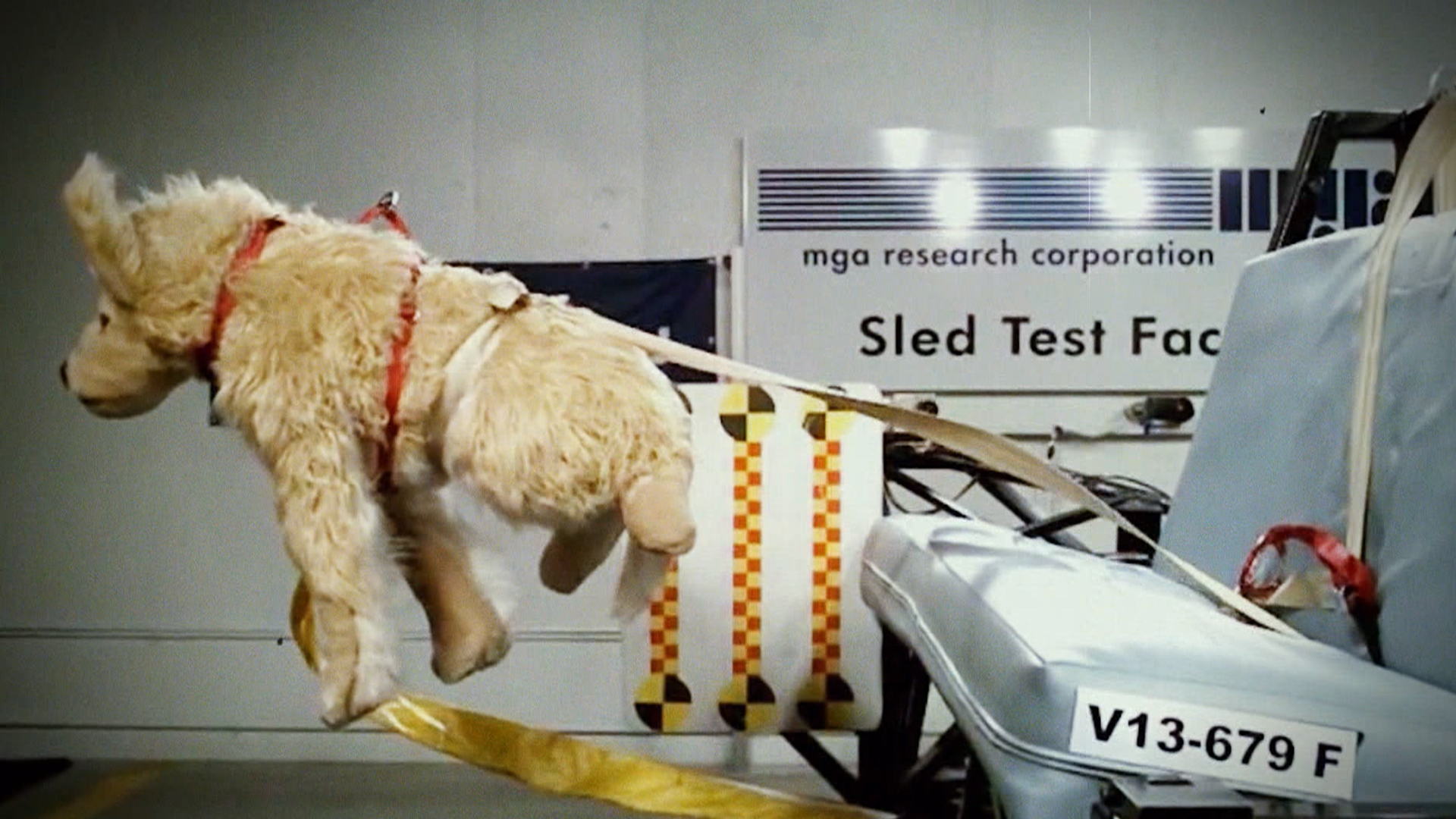 Most safety restraints for pets in cars fail crash tests - TODAY.com