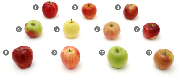 Apple Fruit Identification Chart