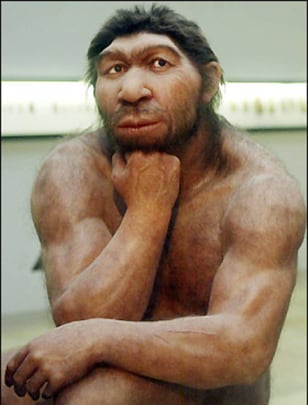 090108-neanderthal-vmed.grid-4x2.jpg