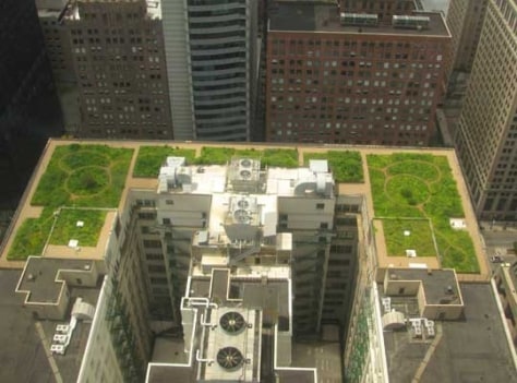 Green Roofs Offset Global Warming Study Finds Technology Science Future Of Energy Nbc News