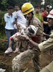 India plane crash kills scores; 8 survive - World news ...