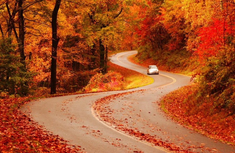 Great drives to take in autumn's colorful splendor