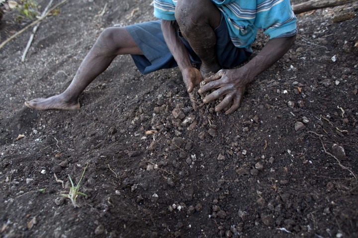 Image: Farmer Jean Romain Beltinor, 59, works the rocky dirt on his parched hillside to prepare for planting seeds he does not have in Bombardopolis, northwestern Haiti.