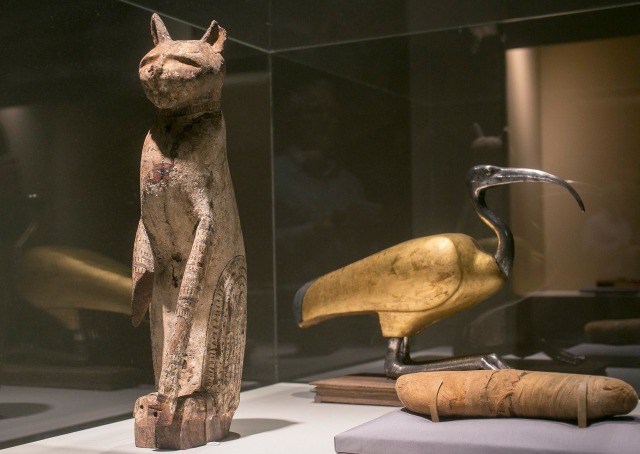 Image: A cat coffin with mummy and an ibis coffin