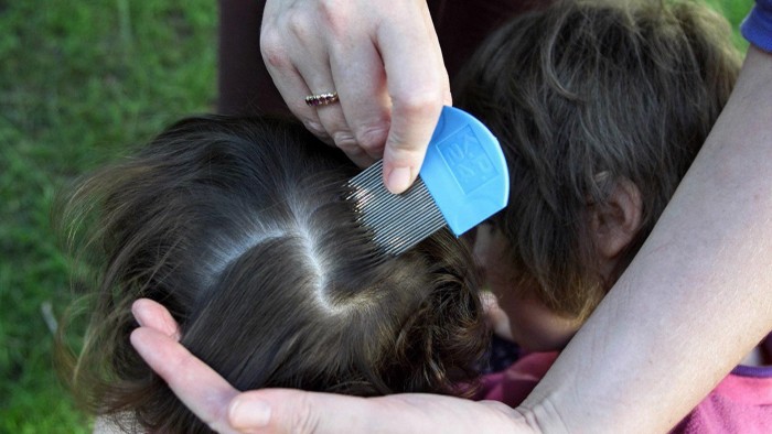 Head-scratcher: ‘Super lice’ resist over-the-counter treatments