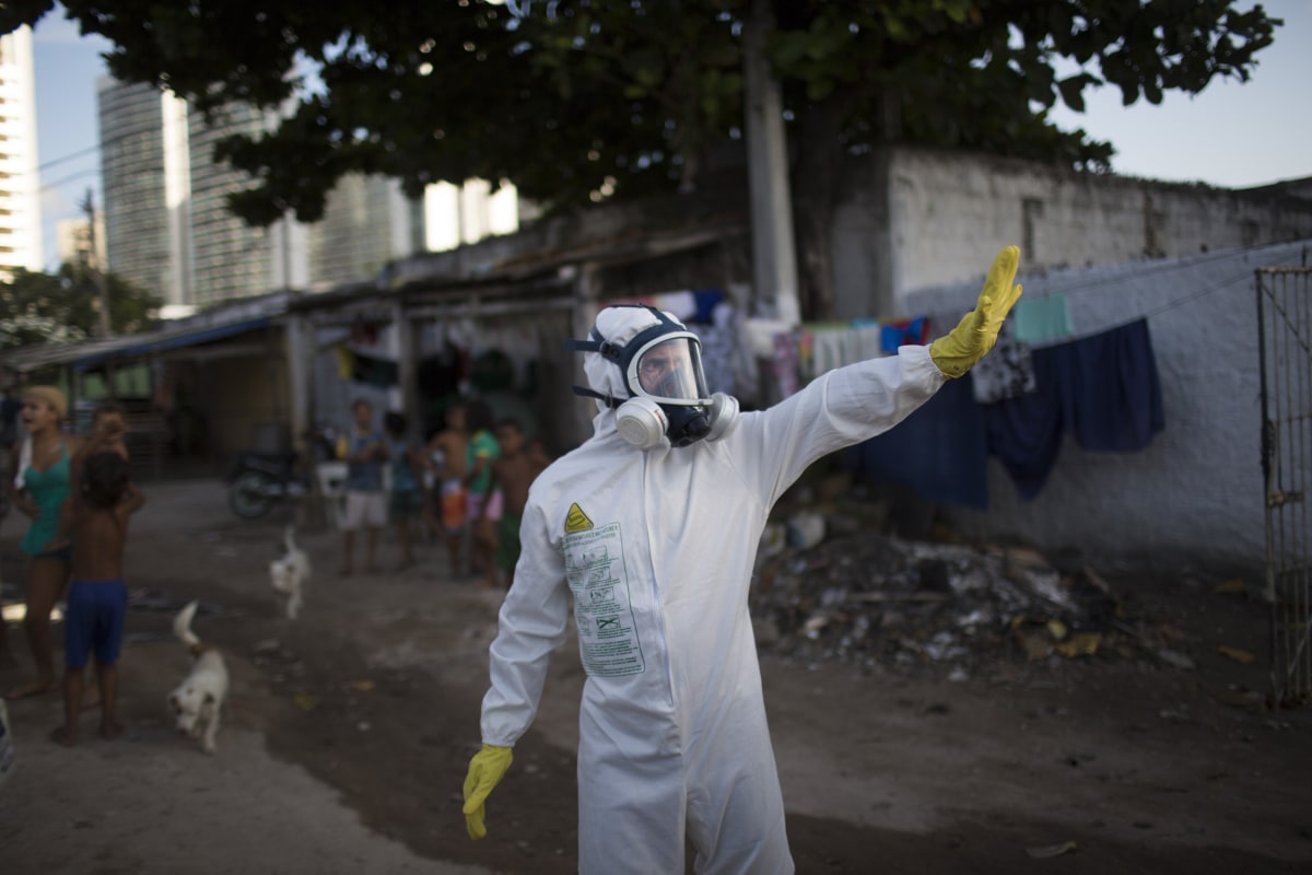 Zika Virus Won't Be a Big Problem at Olympics, Rio Officials Say