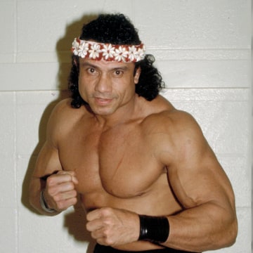 Image result for jimmy superfly snuka