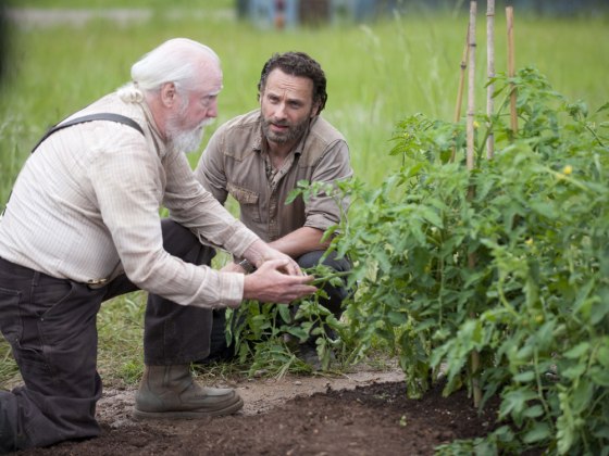 Image: Hershel and Rick on "The Walking Dead"