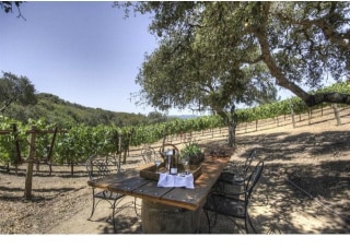 Peggy Fleming's wine estate features decks and patios that include a dining area beneath a grouping of oak trees.