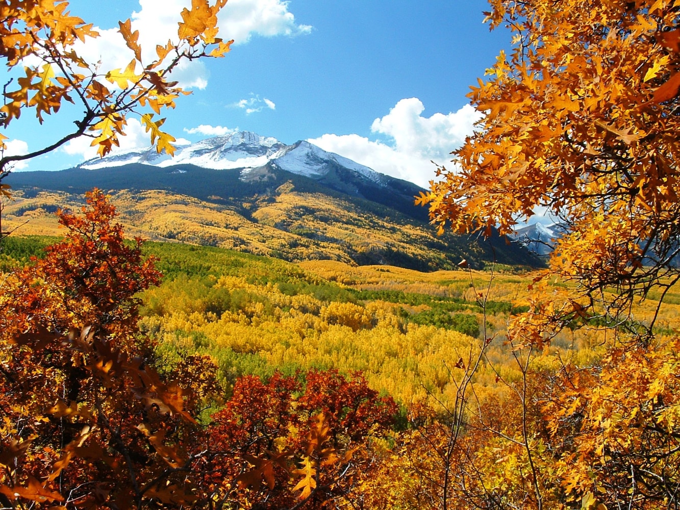 11 best places to see fall colors - NBC News