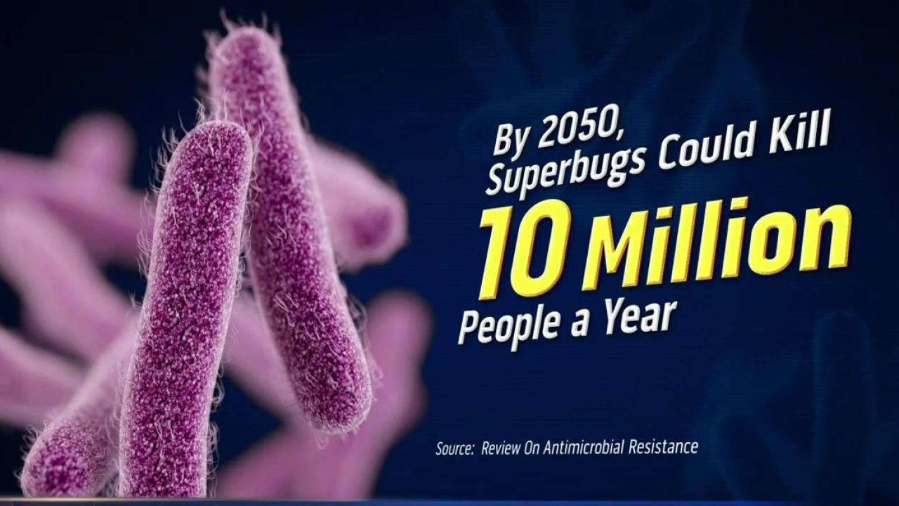 Drug-Resistant Superbugs Are a 'Fundamental Threat', WHO Says