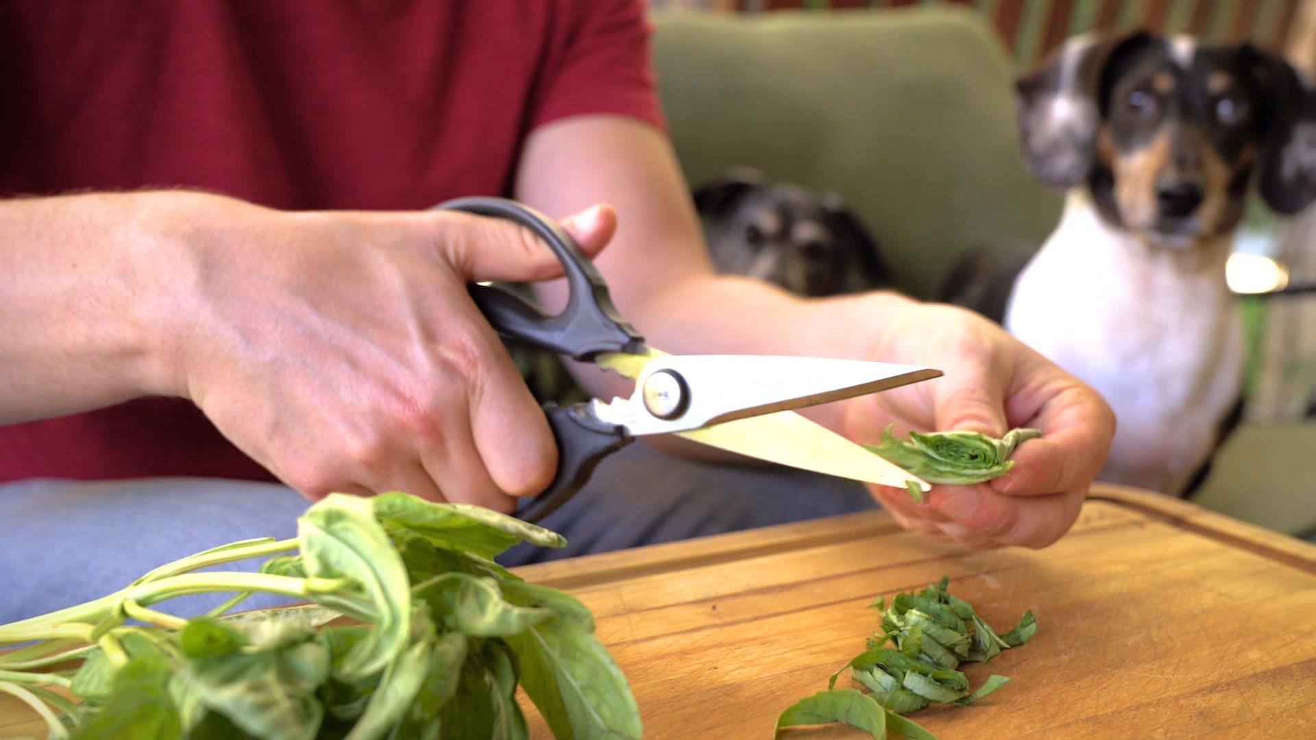 Why you need kitchen shears