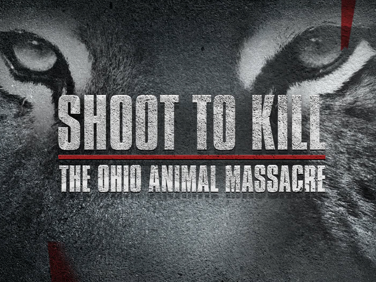 Maximum Drama: Shoot to Kill: The Ohio Animal Massacre