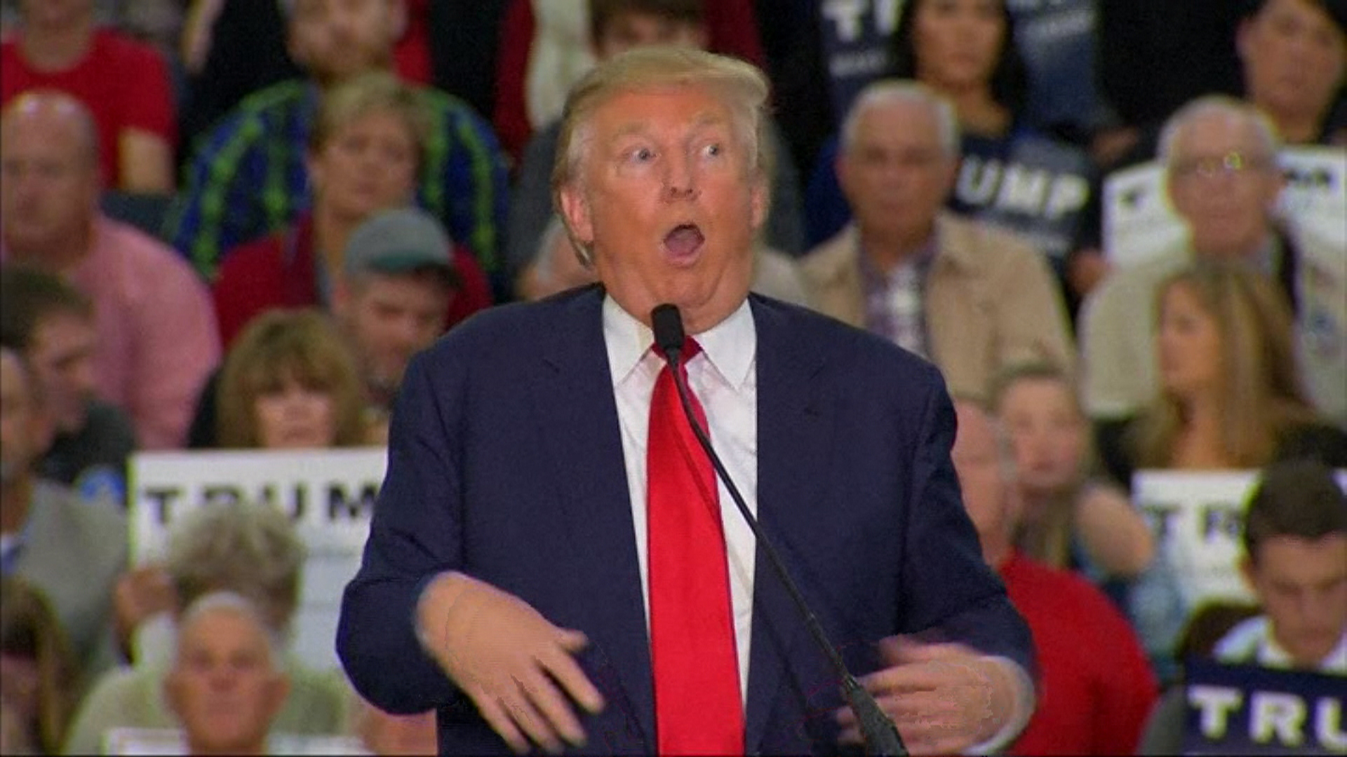 Image result for trump mocks reporter with disability snopes