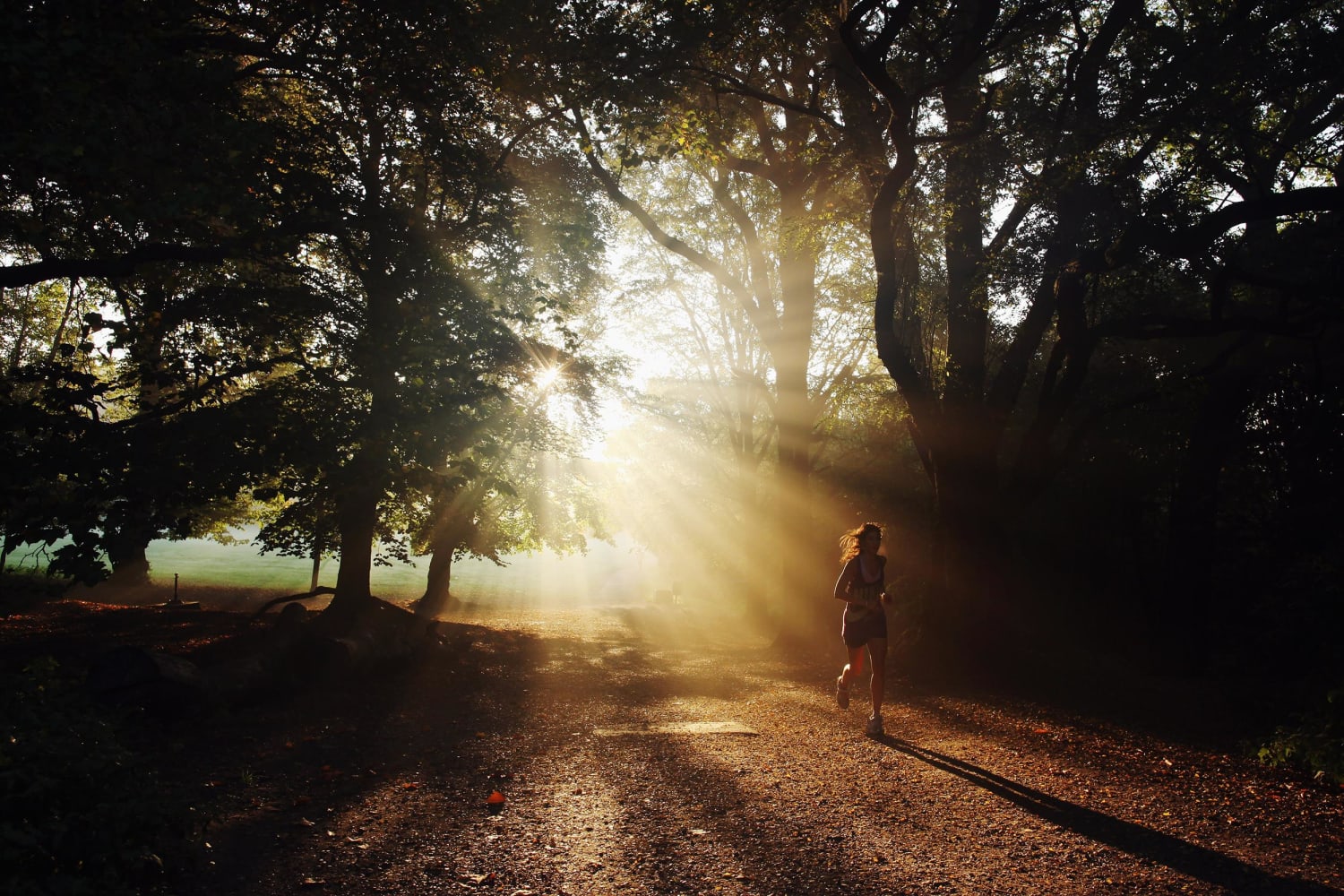 Morning Light Could Be Key to Leaner Physique, Study Finds