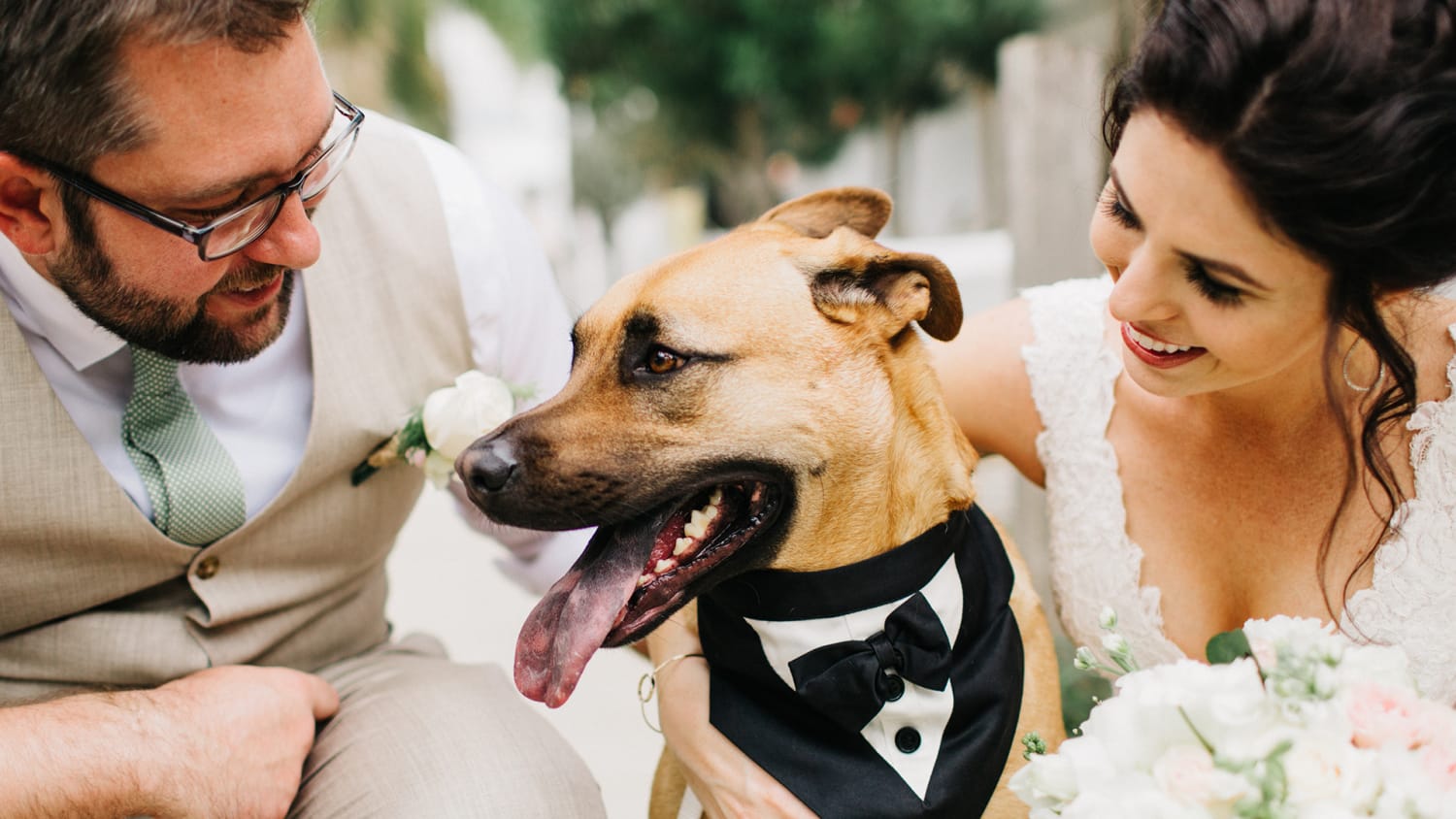 Want a pet in your wedding? This company is here to help