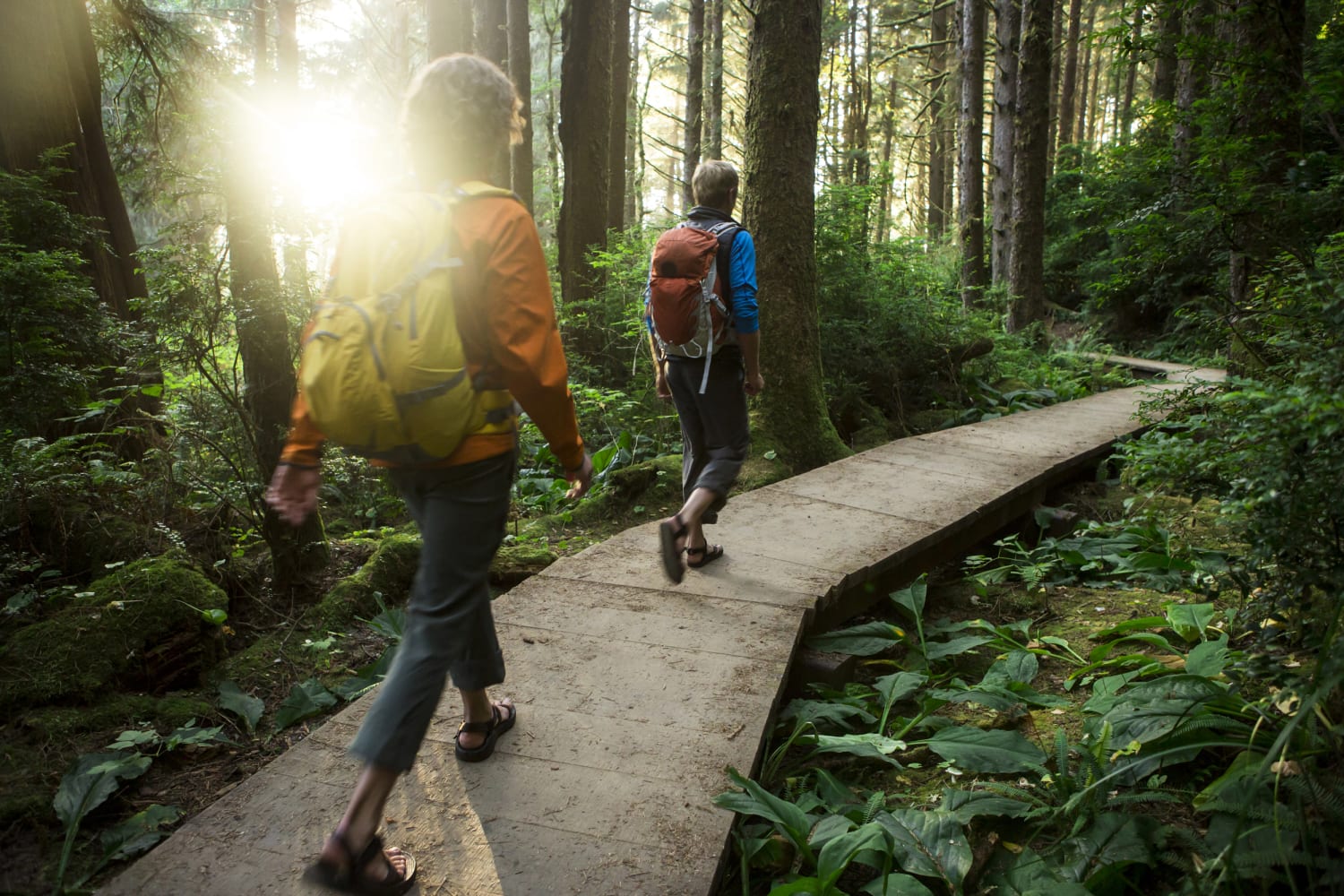 5 Hiking Exercises to Improve Your Hiking Skills