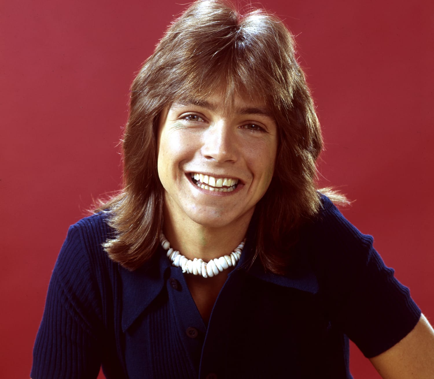 David Cassidy, 1970s teen idol, has died at 67