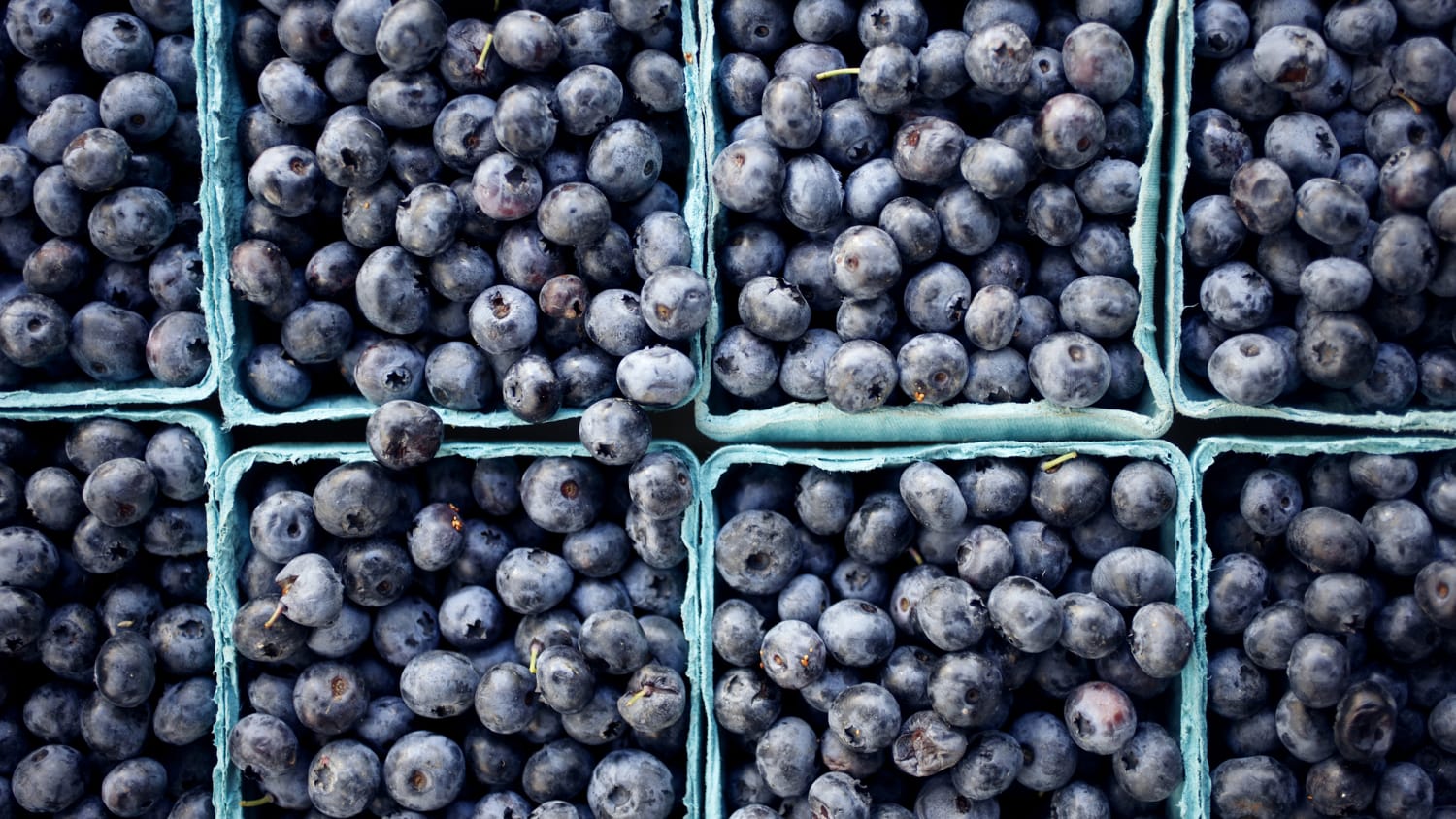 Image result for blueberry