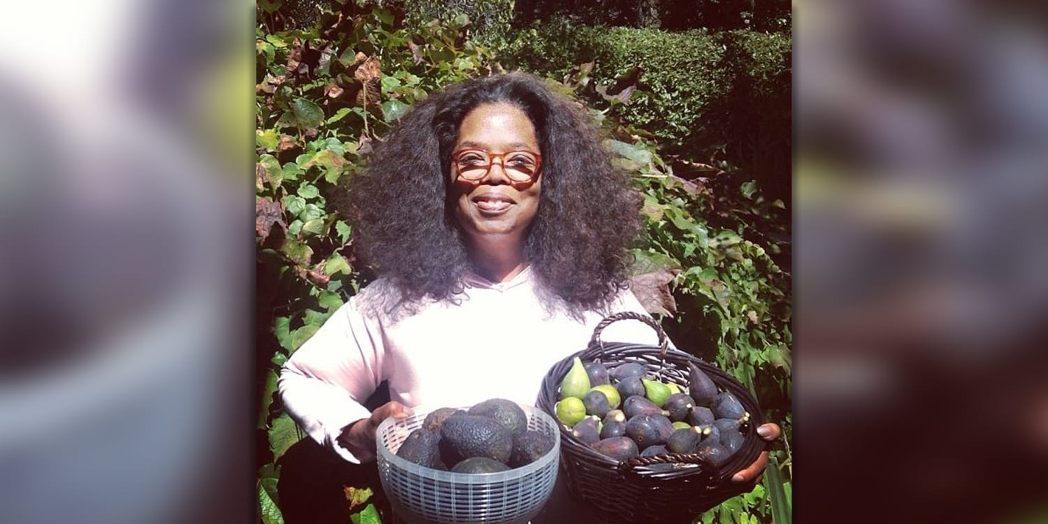 Image result for oprah with avocado