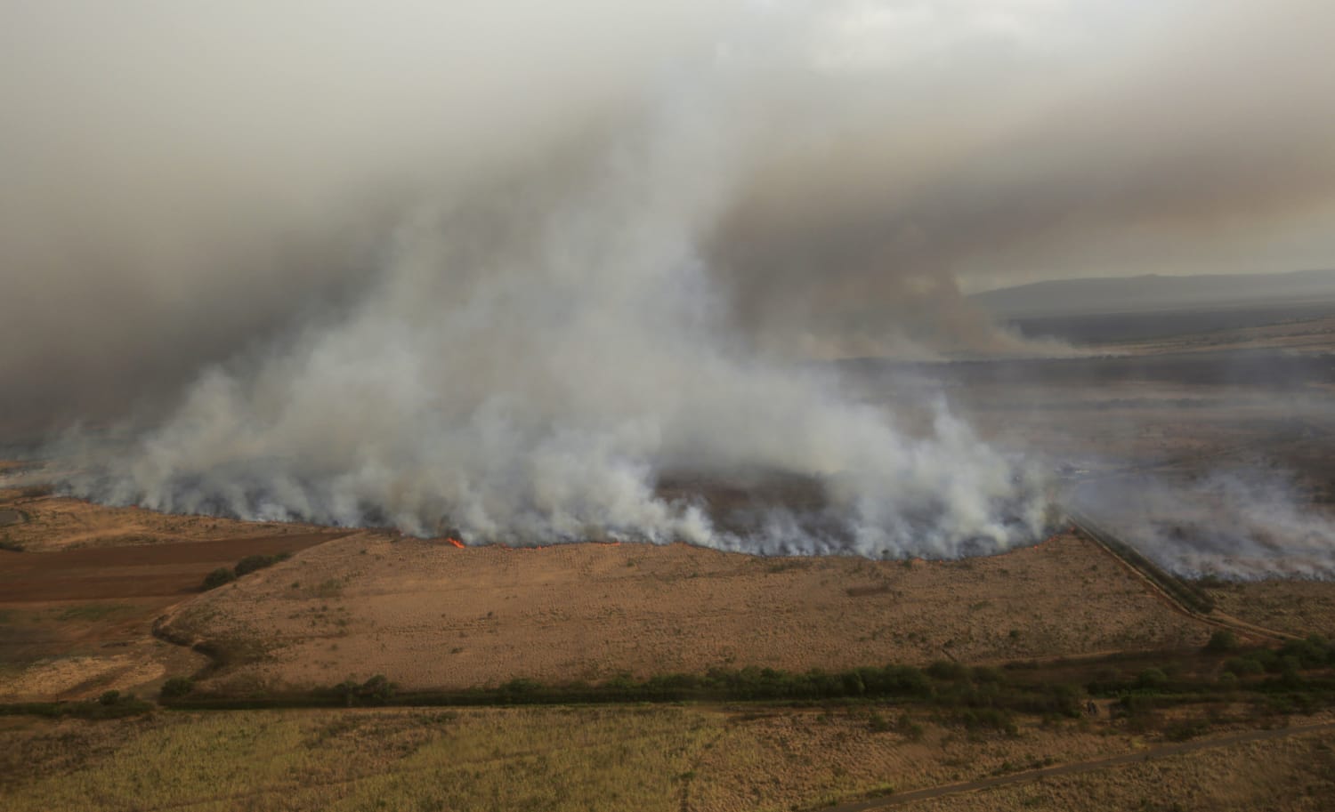 Image result for " MAUI" FIRE, , News, , video "JULY 13, 2019", -interalex
