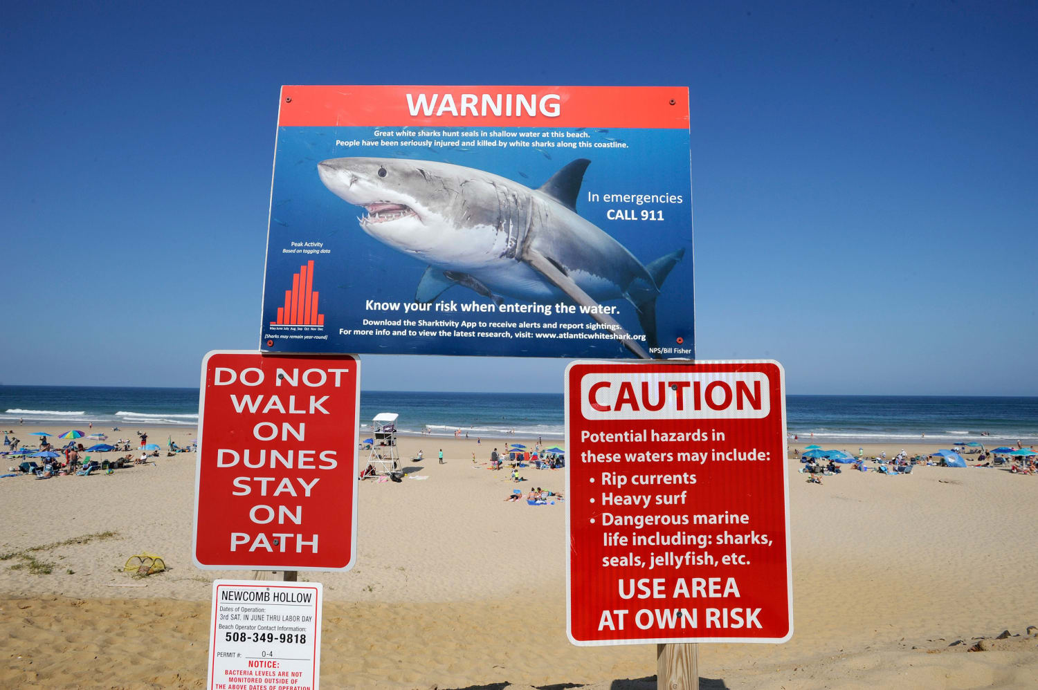 More than 150 great white shark sightings logged off Cape Cod ...