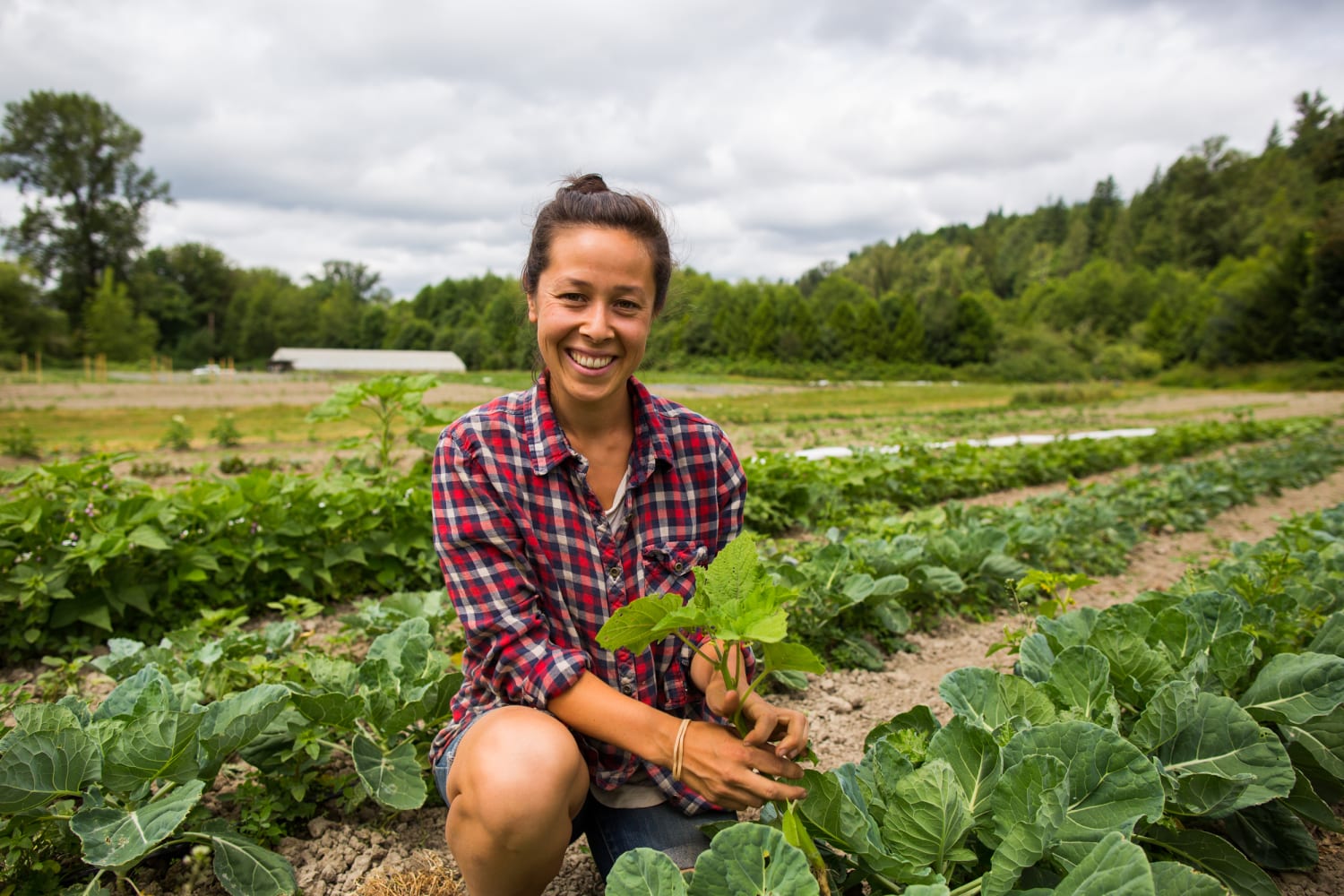 Young Asian Americans Turn To Farming As A Means Of Cultural Reclamation
