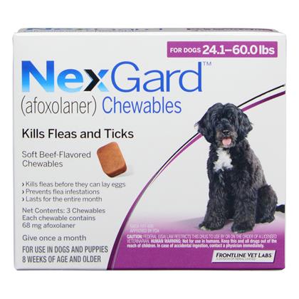pills for dogs for ticks