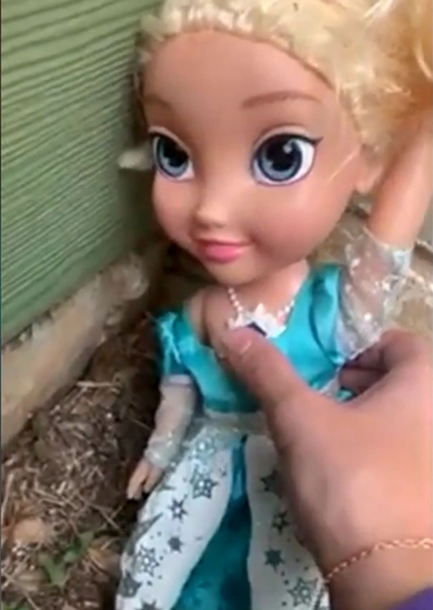 where to buy haunted dolls
