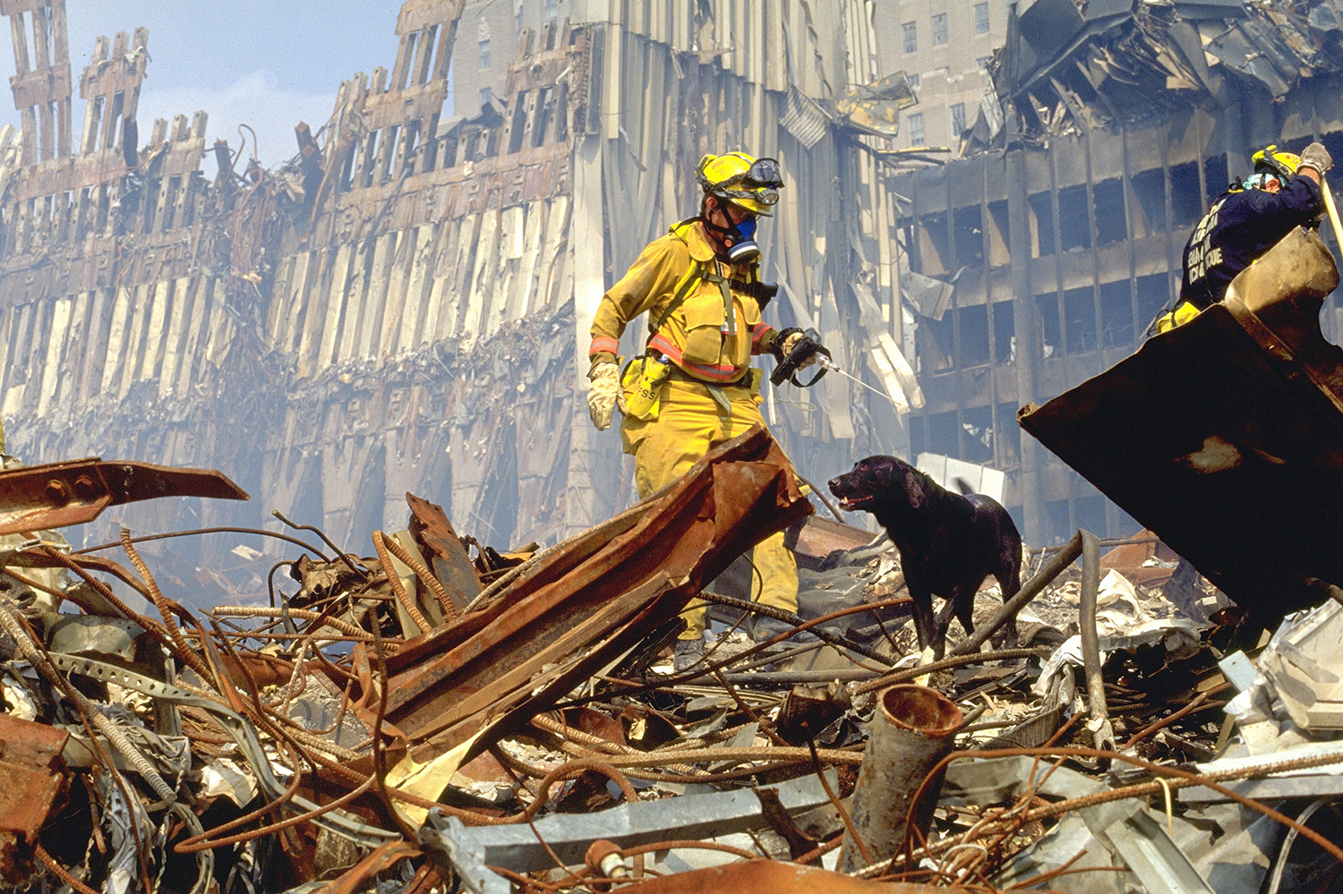 9/11 'hero dog' saved woman trapped in rubble for 27 hours - TODAY.com