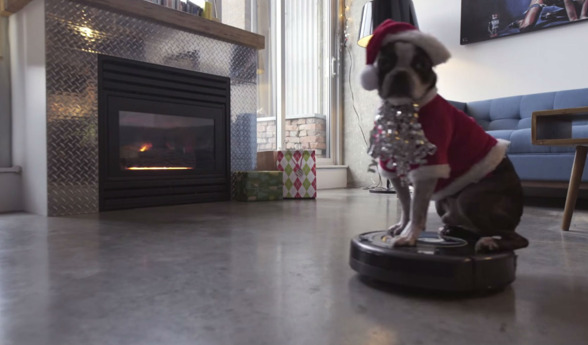 Dog on a Roomba wears a Santa hat for the holidays - TODAY.com