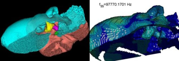 Scientists developed an approach that "integrates advanced computing, X-ray CT scanners, and modern computational methods that give a 3D simulated look inside the head of a Cuvier’s beaked whale" 
