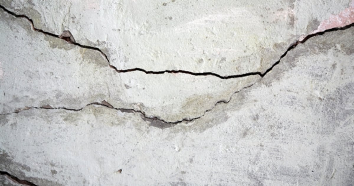 Designer bacteria can heal cracks in concrete buildings