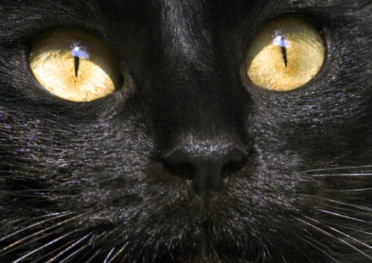 Happy Friday! Explore the origins of 13 enduring superstitions