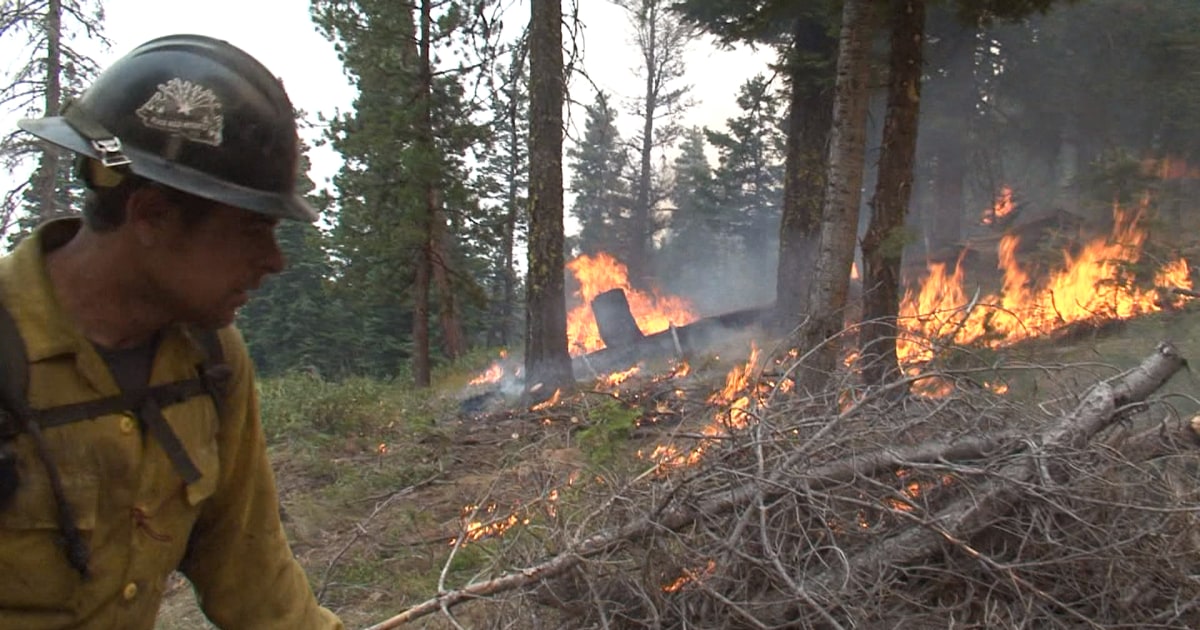 WILDFIRE-FIGHTING: Truths learned on the frontline of an adrenaline-fueled job | Vancouver Observer