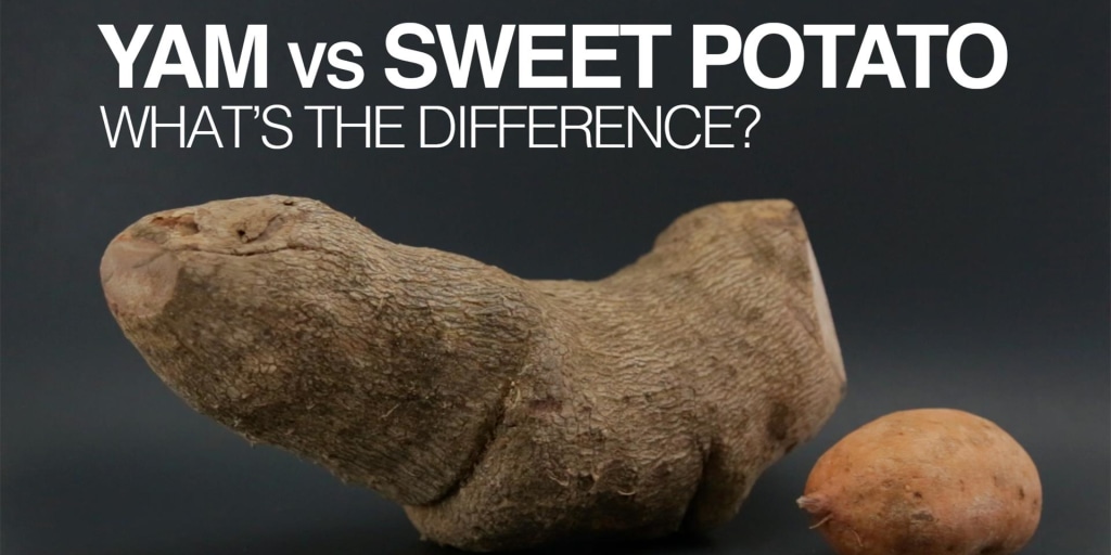 What S The Difference Between Yams And Sweet Potatoes,Silver Dime