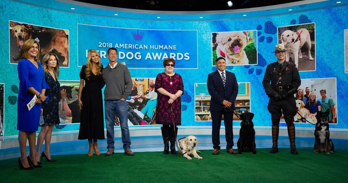 Meet 3 fearless canine finalists in American Humane Hero Dog Awards