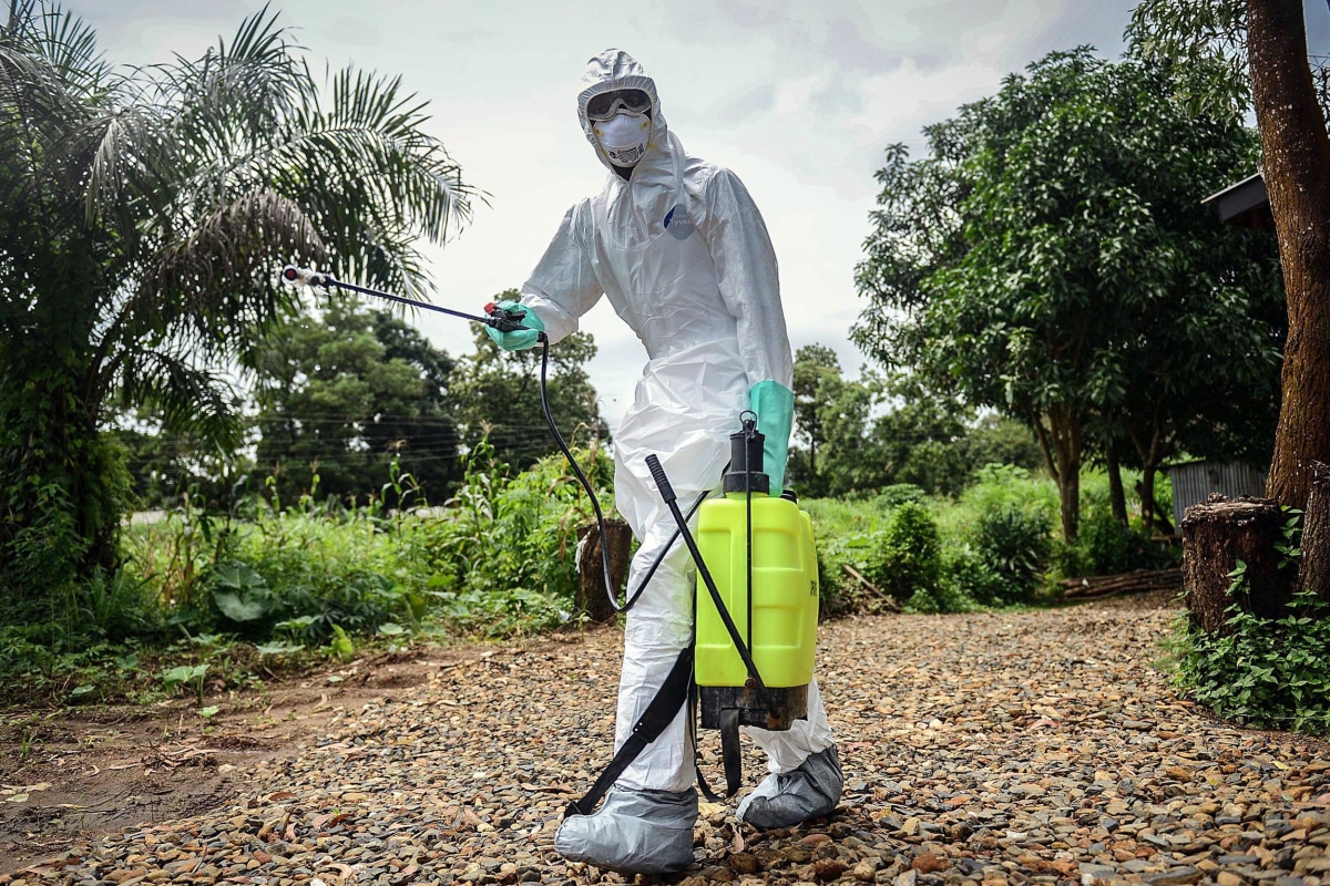 Where Did Ebola Come From? Likely One Person, Gene Study Finds - NBC News1200 x 800