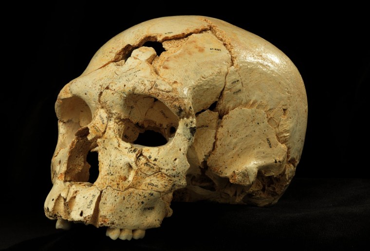 430،000 سال رمز و راز قتل قدیمی: نکات جمجمه شکسته در اولین قتل