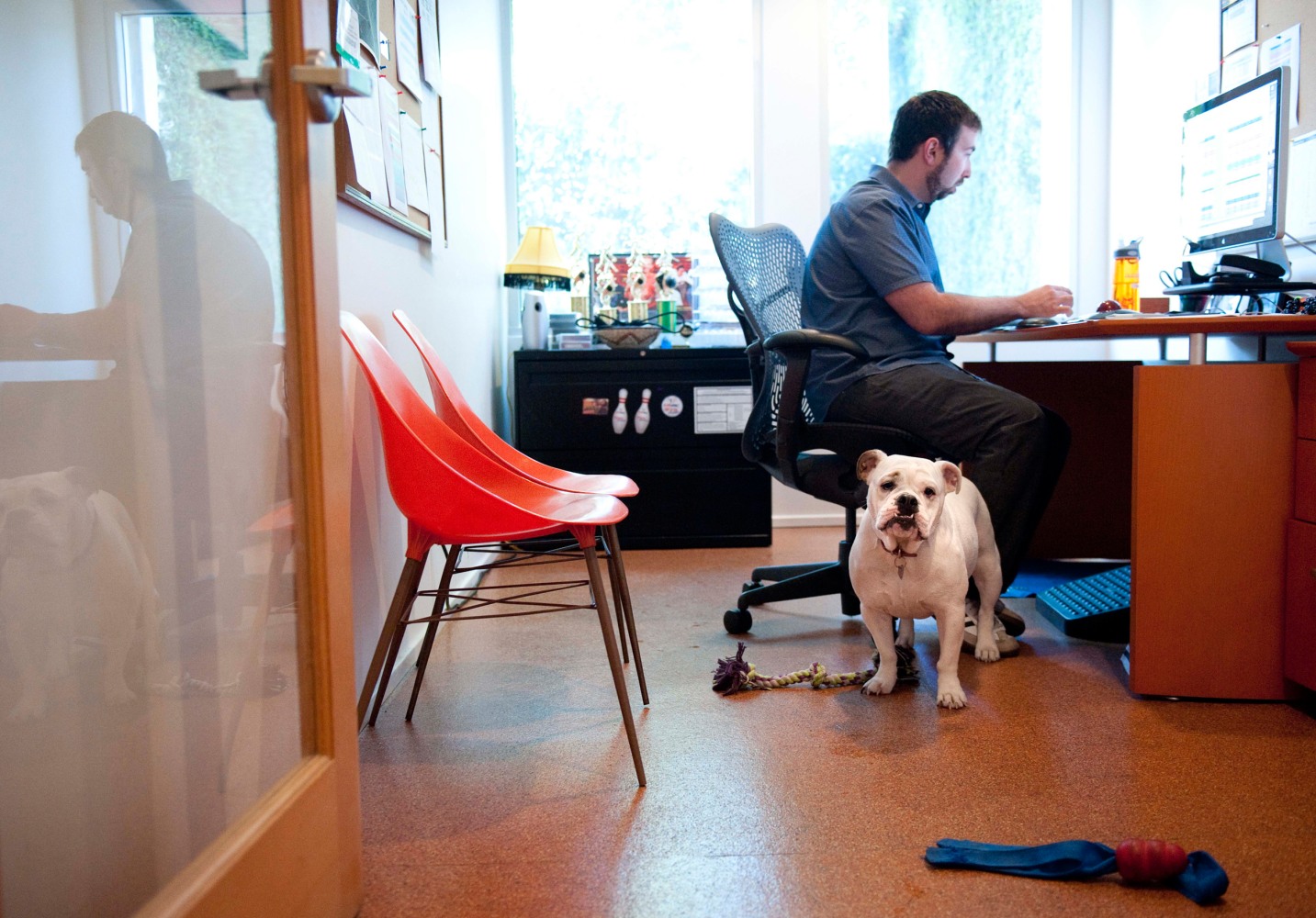 Pooch Perk: More Companies Embracing Pet-Friendly Office Policy - NBC News1433 x 1000