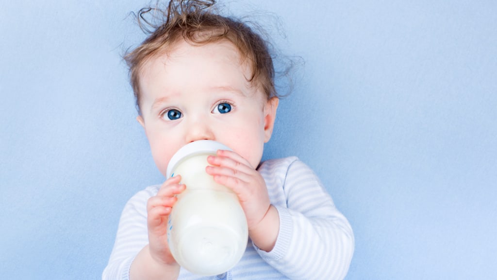 best powder milk for 1 year old