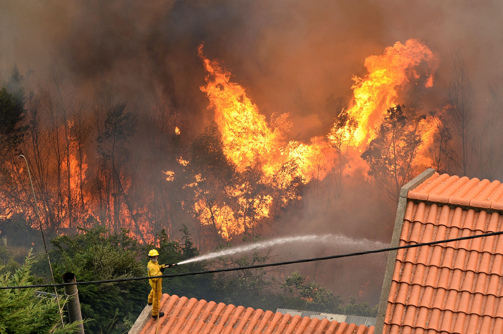 Картинки по запросу portugal wildfire