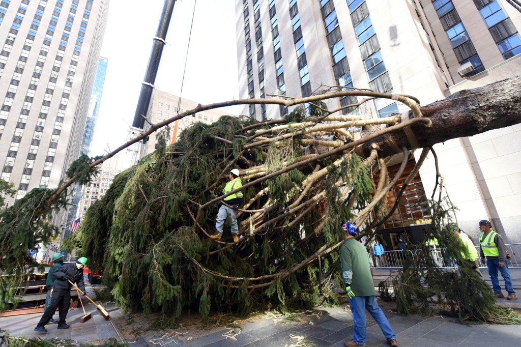 Christmas on the Way: Rockefeller Center Tree Goes Up - NBC News
