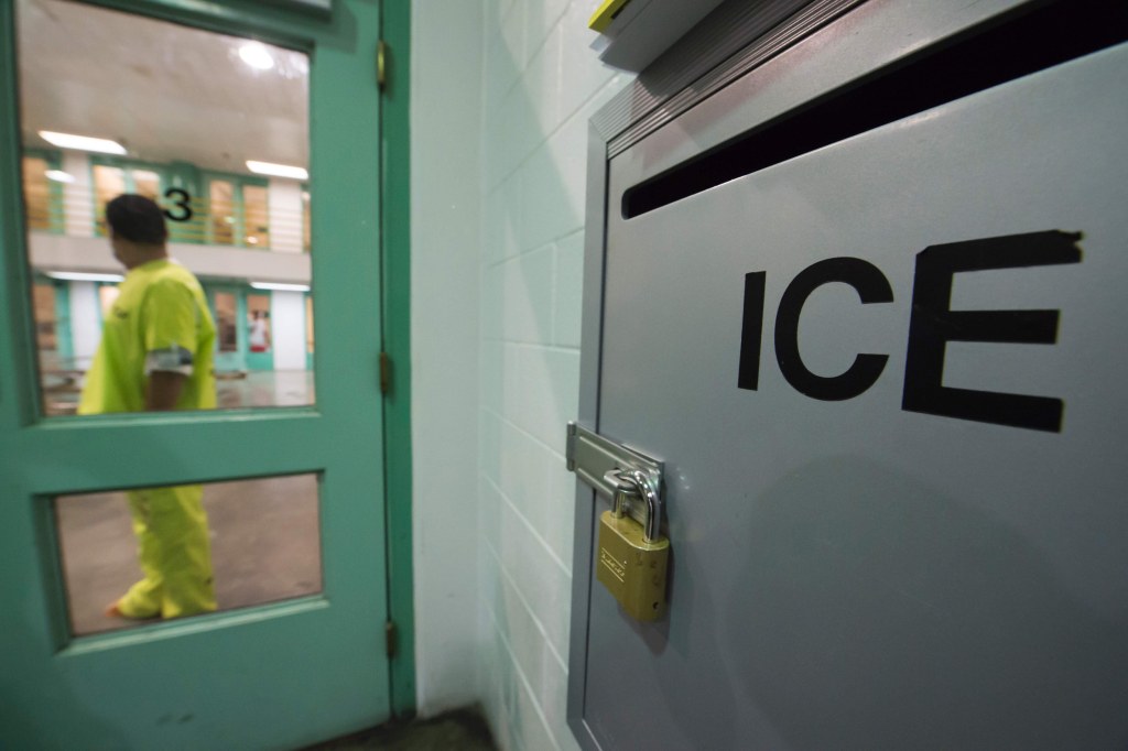 Image: Immigration detainees arrested by ICE
