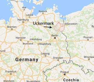 Teenager Detained on Suspicion of Plotting Berlin Terror Attack 