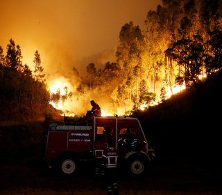 Portugal Forest Fires: 61 Dead; PM Calls Disaster a 'Tragedy'