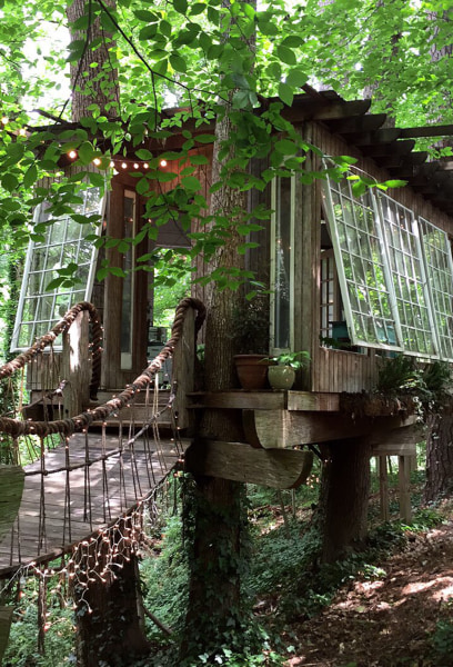 This Airbnb treehouse is the mostwishedfor listing  TODAY.com
