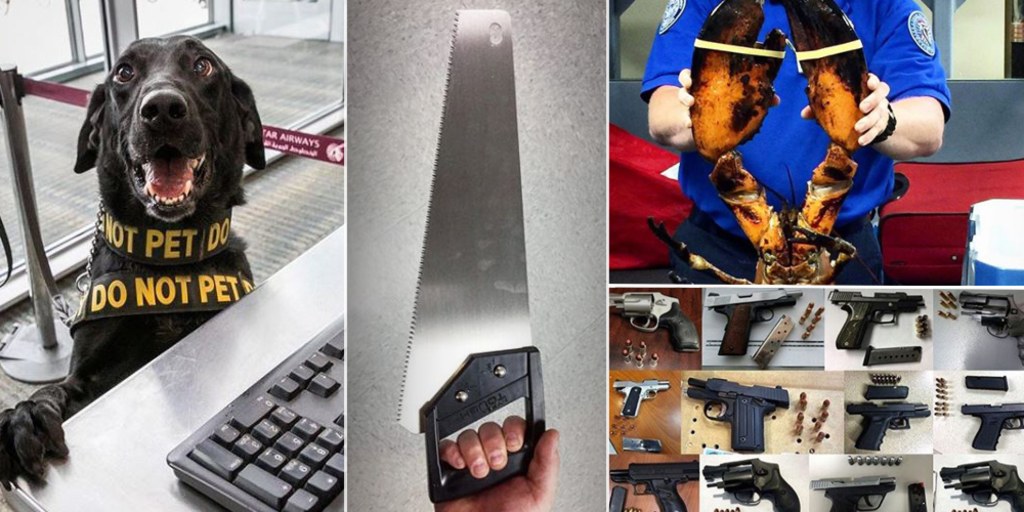 Why The Tsa S Award Winning Instagram Account Is Hilarious And