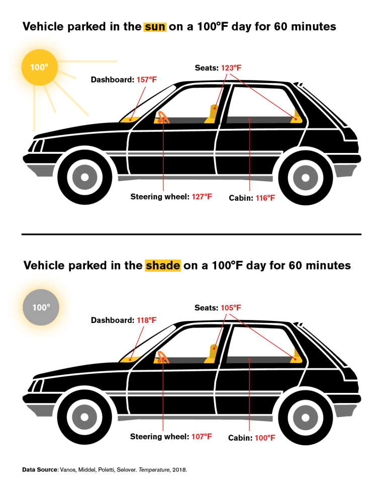 Image: Hot car infographic